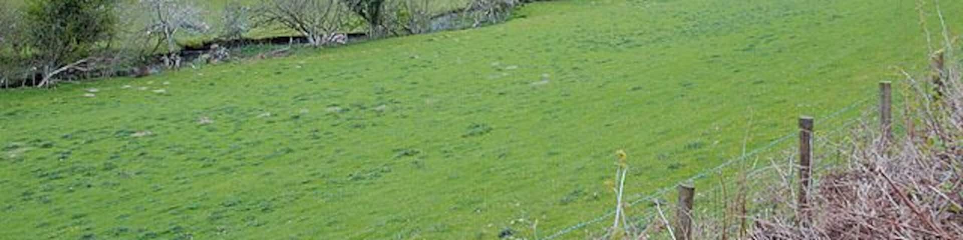 Cwm Berllan With the slopes of Cefn Coch rising behind.