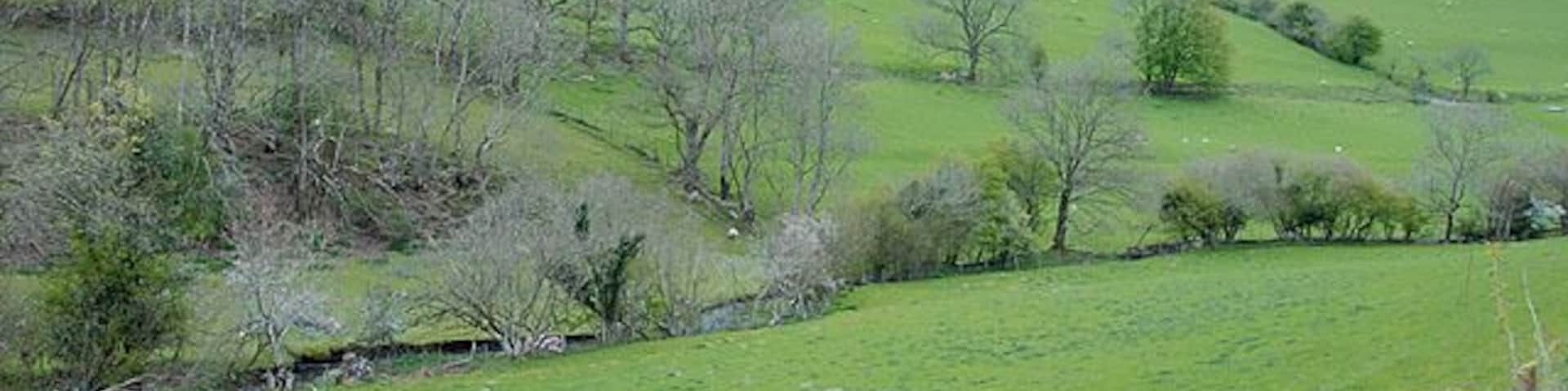 Cwm Berllan With the slopes of Cefn Coch rising behind.