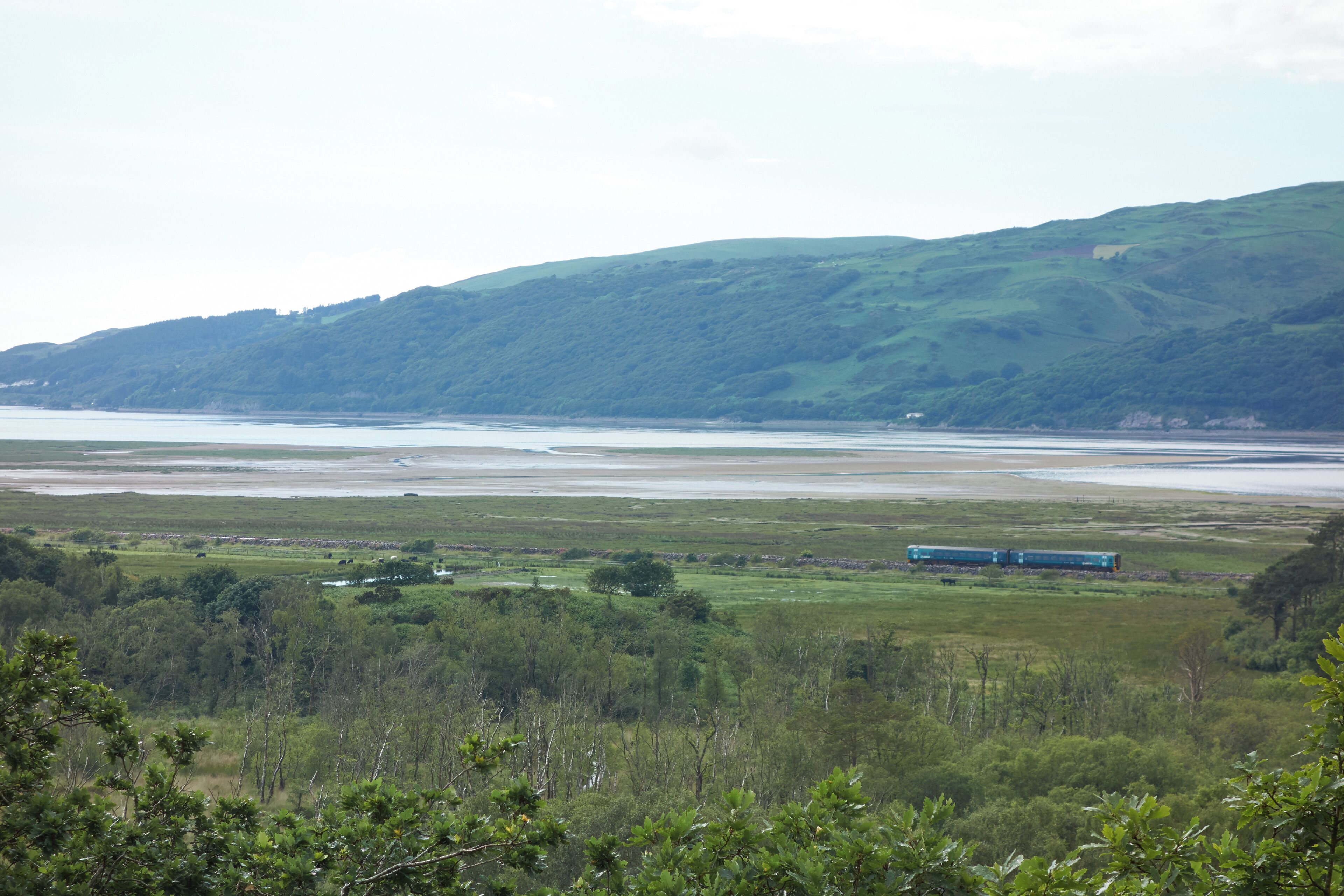 View from Ynys-hir Hide, Ynys-hir RSPB reserve