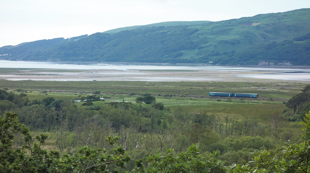 View from Ynys-hir Hide, Ynys-hir RSPB reserve