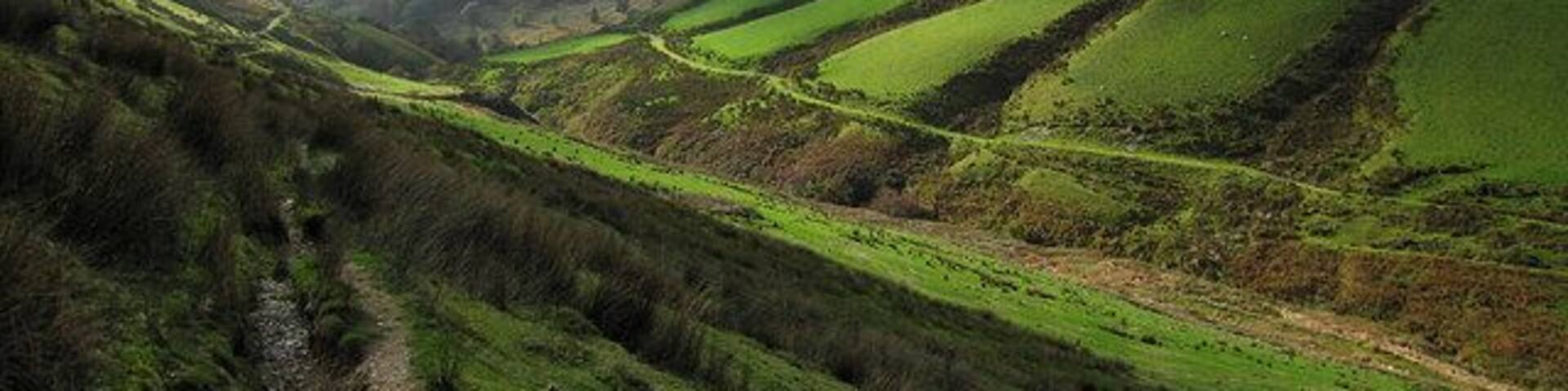 Bryn Hafod and Cwm Cywarch