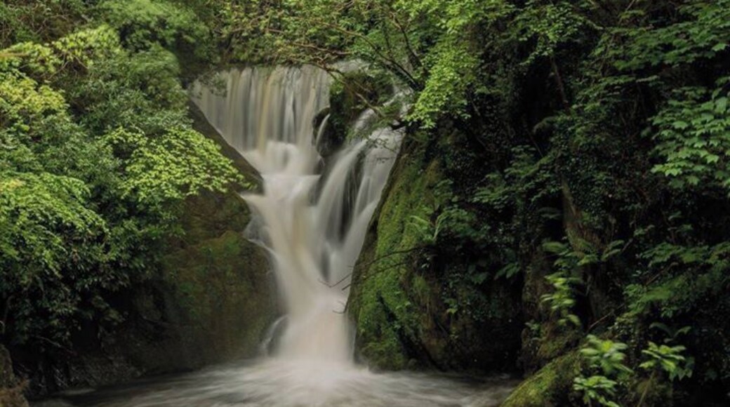Dyfi Furnace is a restored mid 18th century charcoal fired blast furnace used for smelting iron ore. It has given its name to the adjoining hamlet of Furnace