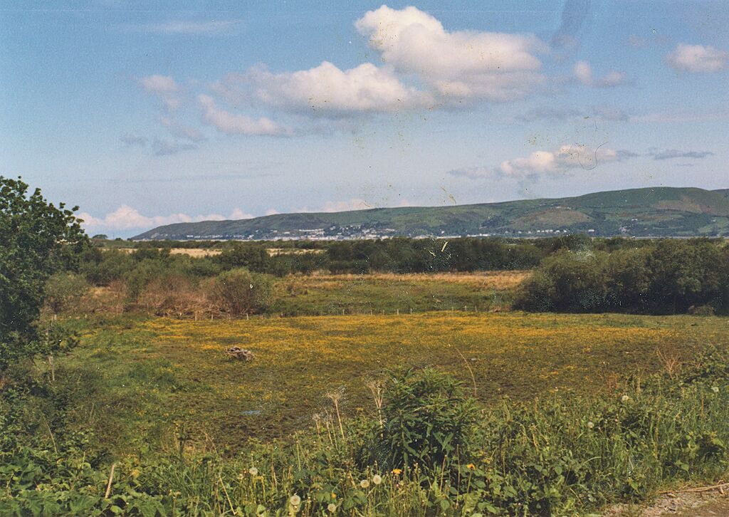 Cors Fochno near Llancynfelyn The bog adjacent to the rise on which Llancynfelyn lies includes partially reclaimed fields, such as the wettish one in the foreground, and old peat cuttings.