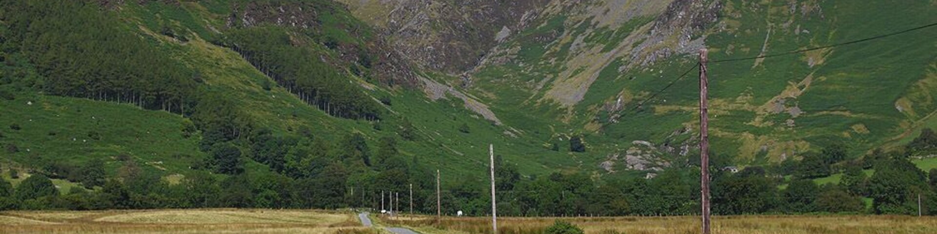 Cwm Cywarch Caught between summer and autumn; the bracken is still a vibrant green but the heather is in full bloom. The flat floor of the cwm contrasts with the great crag of Craig Cywarch on the left, known to connoisseurs of rock climbing.