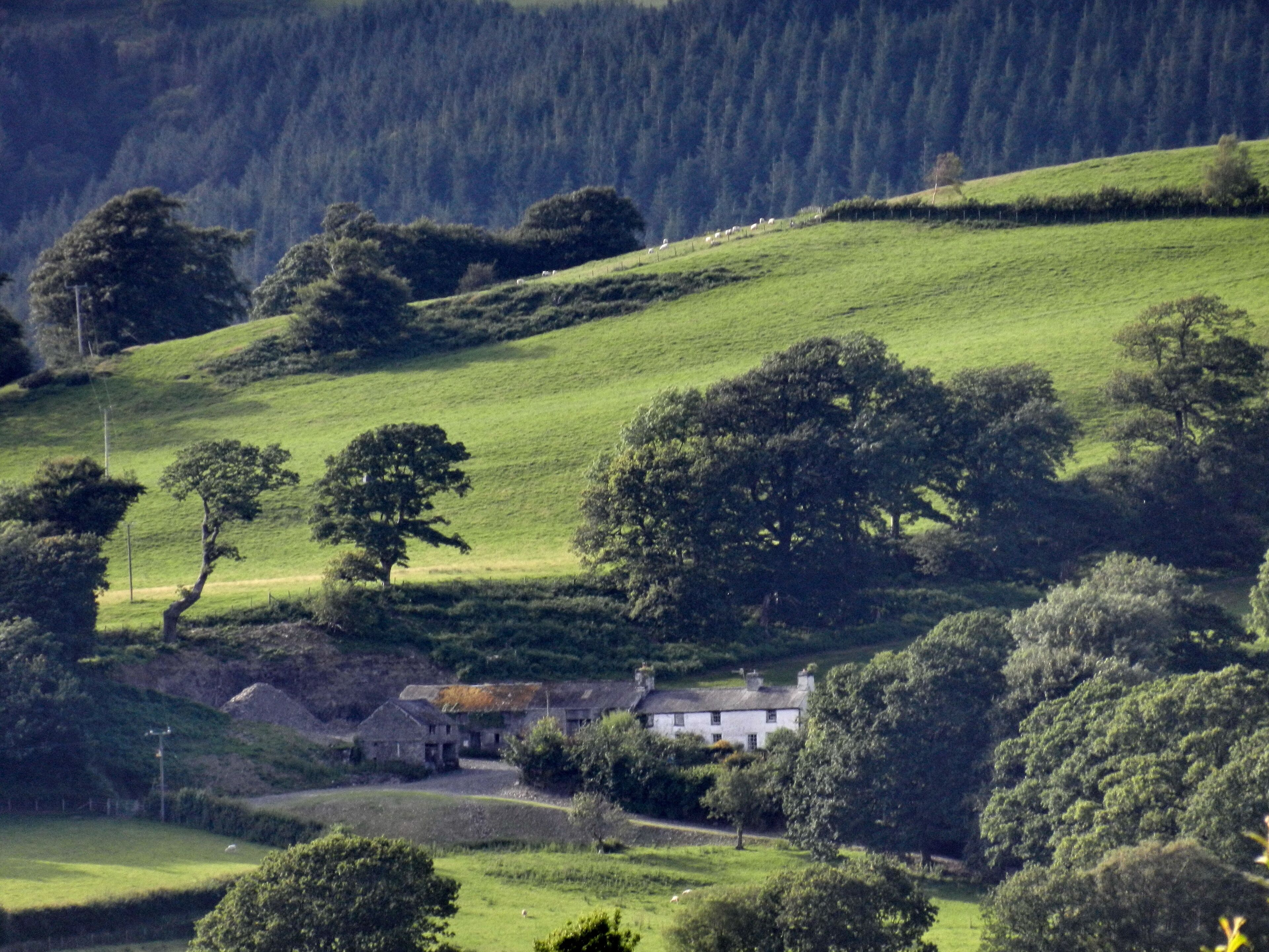 Paisagem rural com colinas ondulantes, árvores dispersas e uma casa branca com telhado de palha.