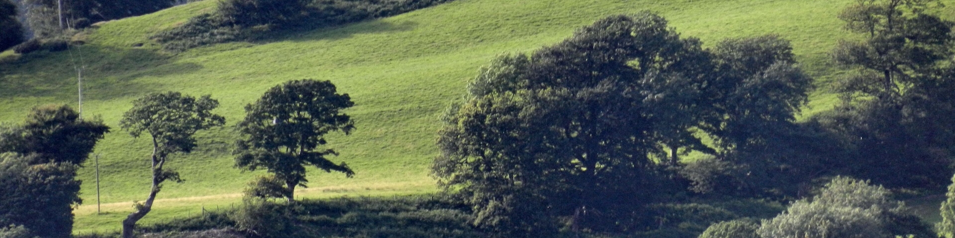 Paisagem rural com colinas ondulantes, árvores dispersas e uma casa branca com telhado de palha.