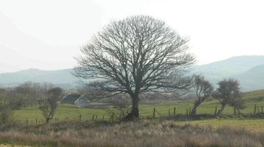 View of Aberdyfi
