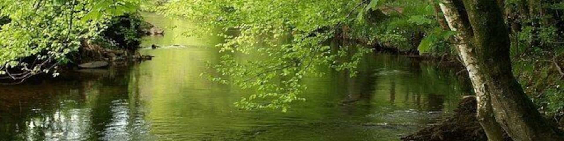 River Avon by Titcombe Wood Looking upstream as the river rounds a bend beneath beech trees; Titcombe Wood is on the right.