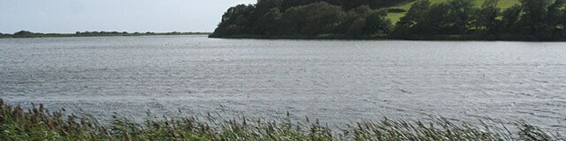 Slapton: Slapton Ley With Hartshorn Plantation across the water