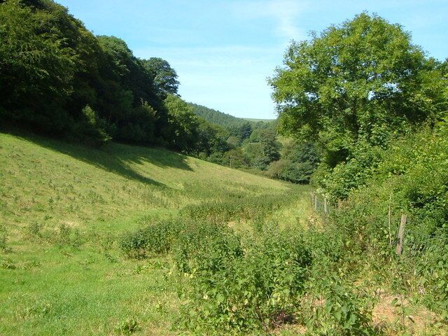 Valley near Topsham Bridge. The valley below Hendham House just before it joins the Avon below Topsham Bridge, seen from the lane. Bedlime Wood is on the left.