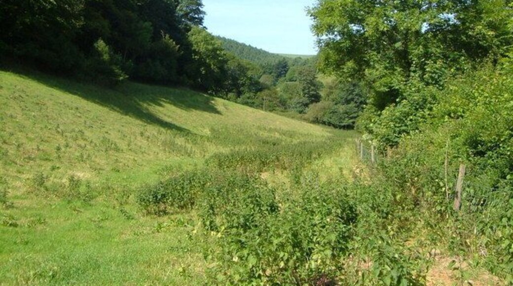 Valley near Topsham Bridge. The valley below Hendham House just before it joins the Avon below Topsham Bridge, seen from the lane. Bedlime Wood is on the left.