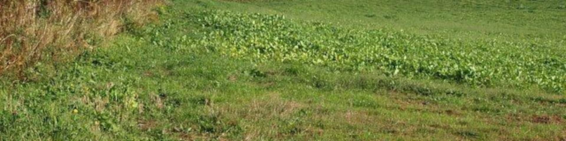 Country south of Malborough A shallow valley that soon deepens and leads down to the sea at South Sands. The buildings on the right are at Portlemore Barton. Seen from White Cross.