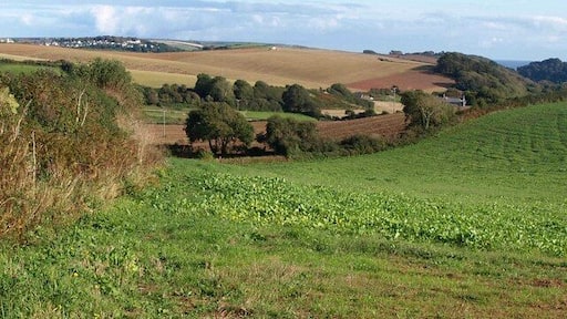 Country south of Malborough A shallow valley that soon deepens and leads down to the sea at South Sands. The buildings on the right are at Portlemore Barton. Seen from White Cross.