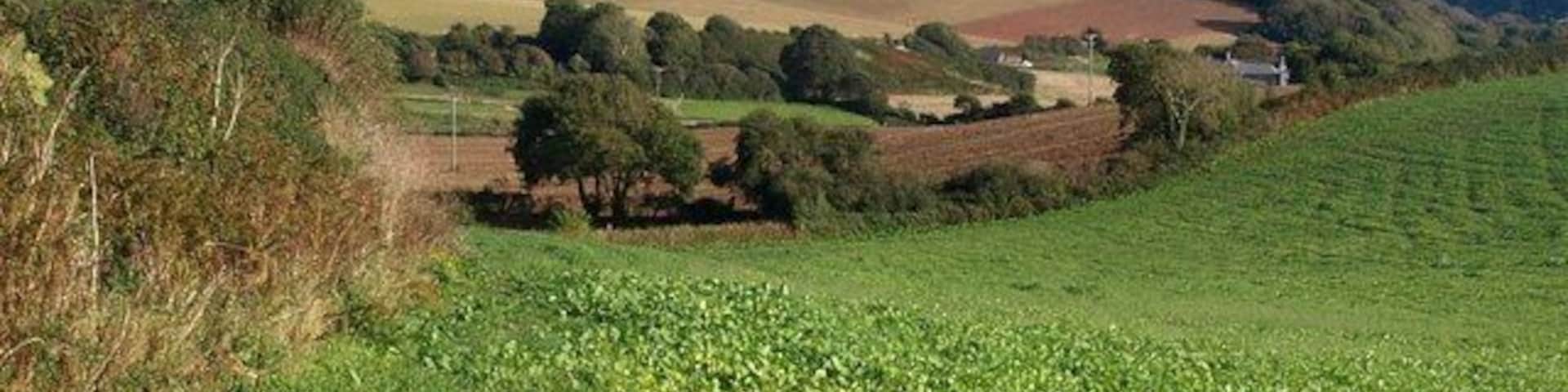 Country south of Malborough A shallow valley that soon deepens and leads down to the sea at South Sands. The buildings on the right are at Portlemore Barton. Seen from White Cross.