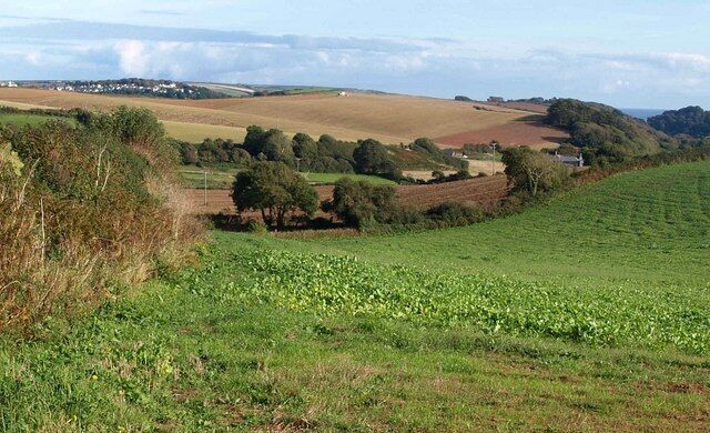 Rolling hills, green fields, and scattered trees.