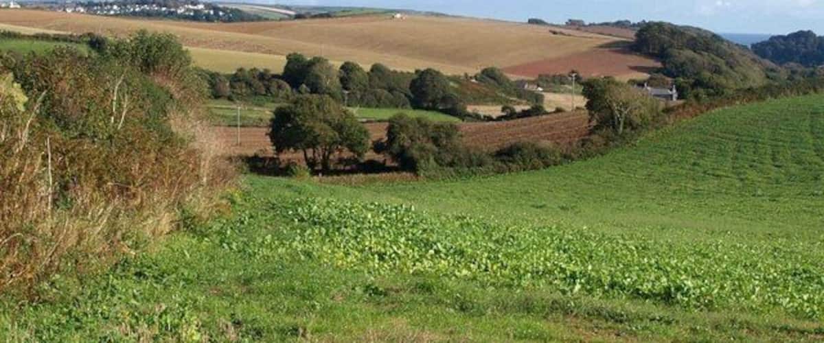 Rolling hills, green fields, and scattered trees.