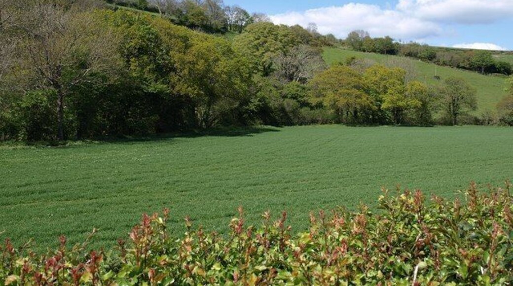 Avon valley below Loddiswell. Trees, largely oaks, line the course of the river (flowing to the left). Seen from the lane shown in 1296653.