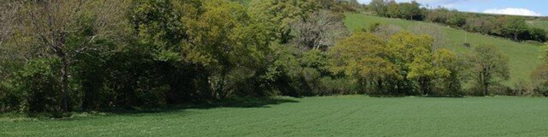 Avon valley below Loddiswell. Trees, largely oaks, line the course of the river (flowing to the left). Seen from the lane shown in 1296653.