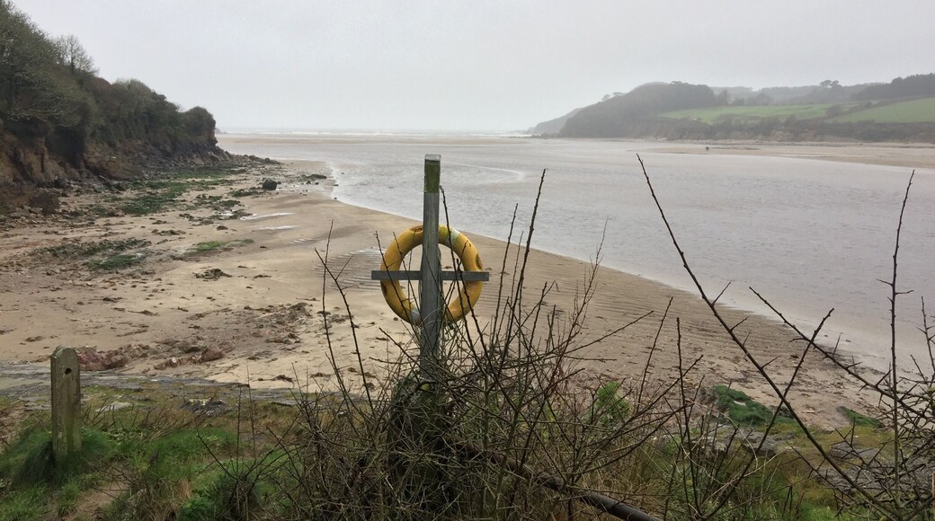 Wonwell Beach with receding tide