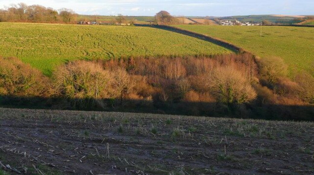 Looking east towards Norton The farm buildings can just be seen over the hill. In the distence, right, is housing on the northern edge of Kingsbridge. Mixed arable and pasture.