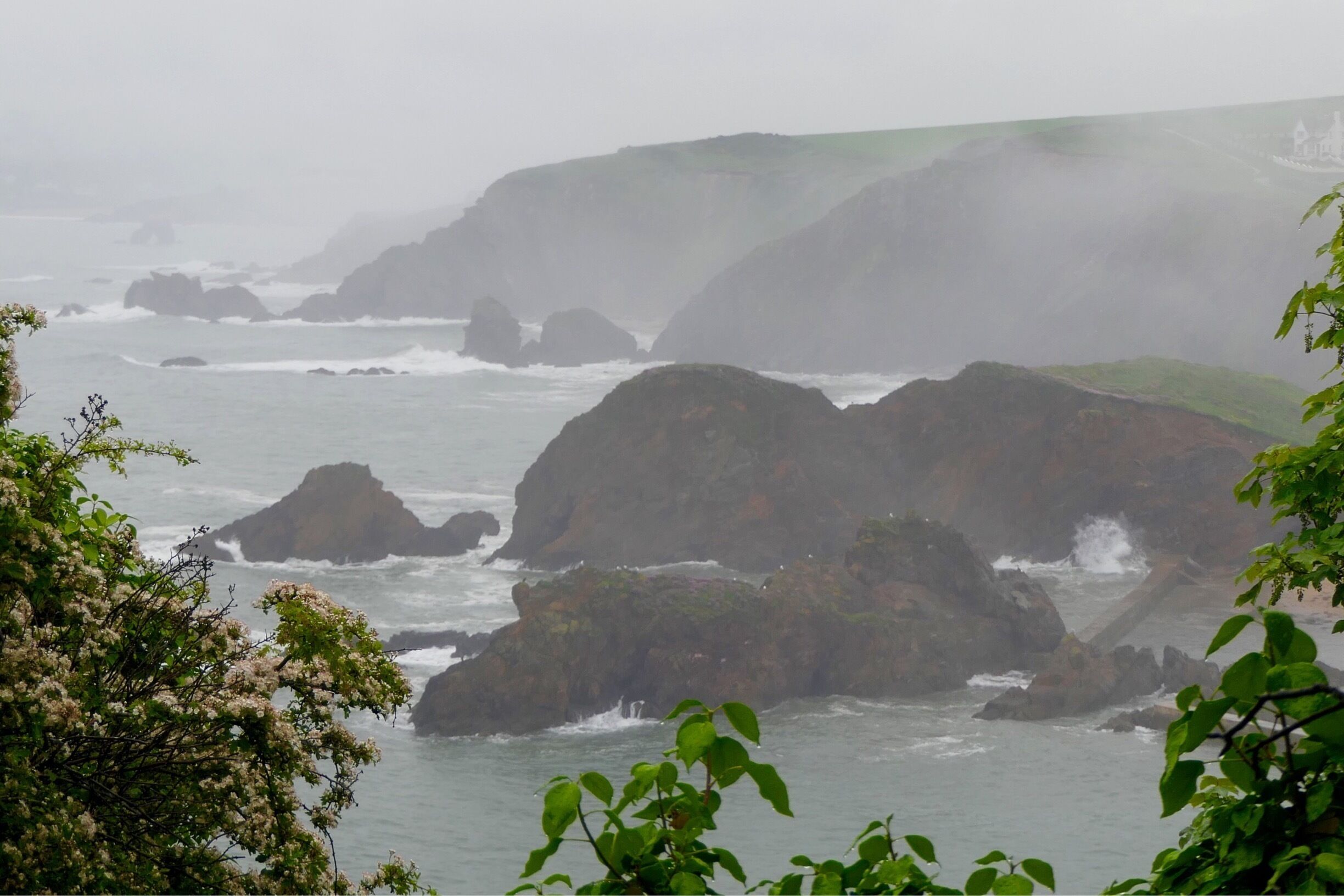 A certain beauty in the mist. From the SW Coast path above Inner Hope towards Bolt Tail.