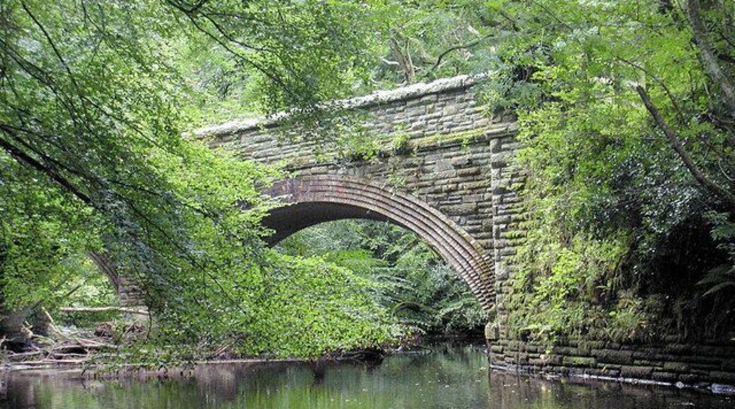 Old Bridge on The Primrose Line: Once the Branch line to Kingsbridge the old track makes a fabulous walk alongside the River Avon from Old Loddiswell Station to Gara Bridge. The brick work on the bridges is a work of art.