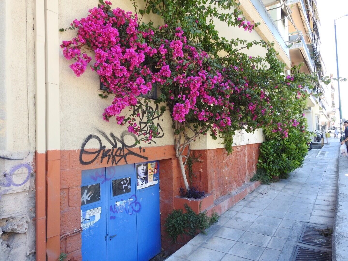 Neos Kosmos is an energetic little town tucked behind alley ways filled with coffee shops and delicious 24 hour bakeries. Just a quick metro ride away from the center of Athens, Neos Kosmos is a wonderful alternative to popular places like Plaka or Syntagma when looking for a place to stay in Athens. By choosing Neos rather than a tourist spot, you are guaranteed to fall in love with the laid back Greek way of life as you spend your mornings at the local farmers market, your afternoons getting your coffee cup read and your nights exploring Athen’s trendy nightlife. 