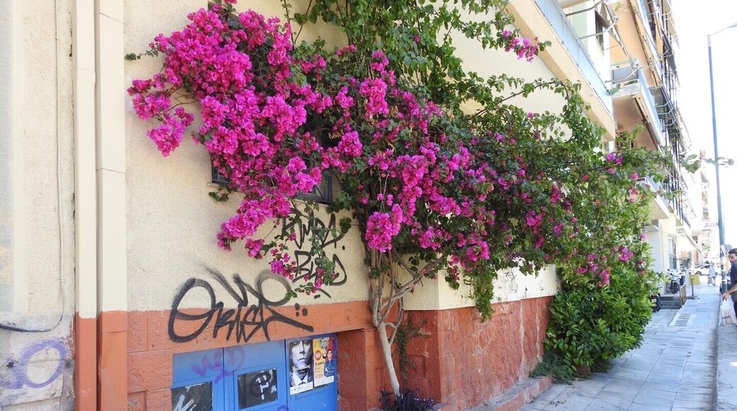 Neos Kosmos is an energetic little town tucked behind alley ways filled with coffee shops and delicious 24 hour bakeries. Just a quick metro ride away from the center of Athens, Neos Kosmos is a wonderful alternative to popular places like Plaka or Syntagma when looking for a place to stay in Athens. By choosing Neos rather than a tourist spot, you are guaranteed to fall in love with the laid back Greek way of life as you spend your mornings at the local farmers market, your afternoons getting your coffee cup read and your nights exploring Athen’s trendy nightlife.