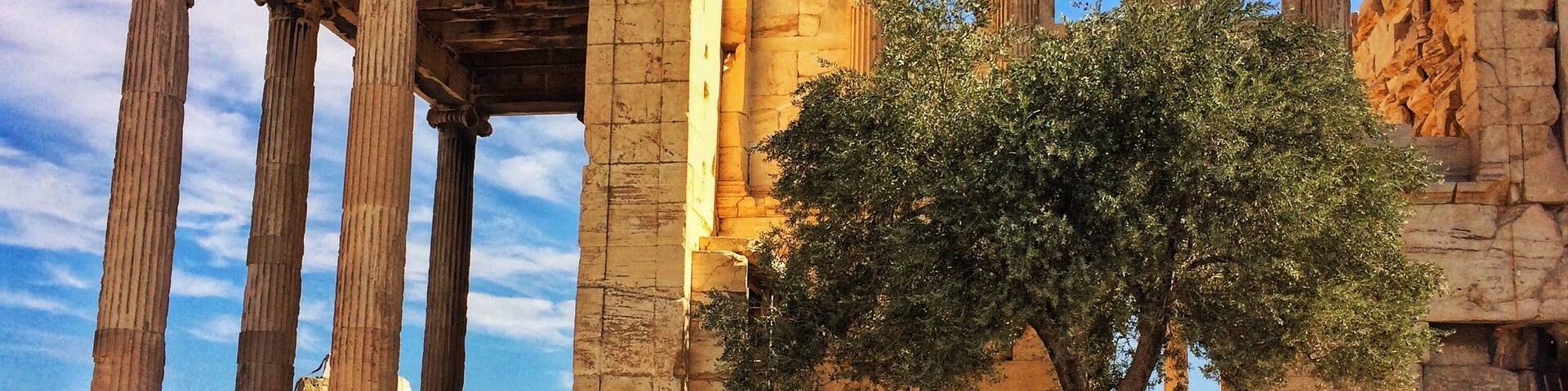 Erechteion Temple. Acropolis of Athens.
431 a.C
Olive tree