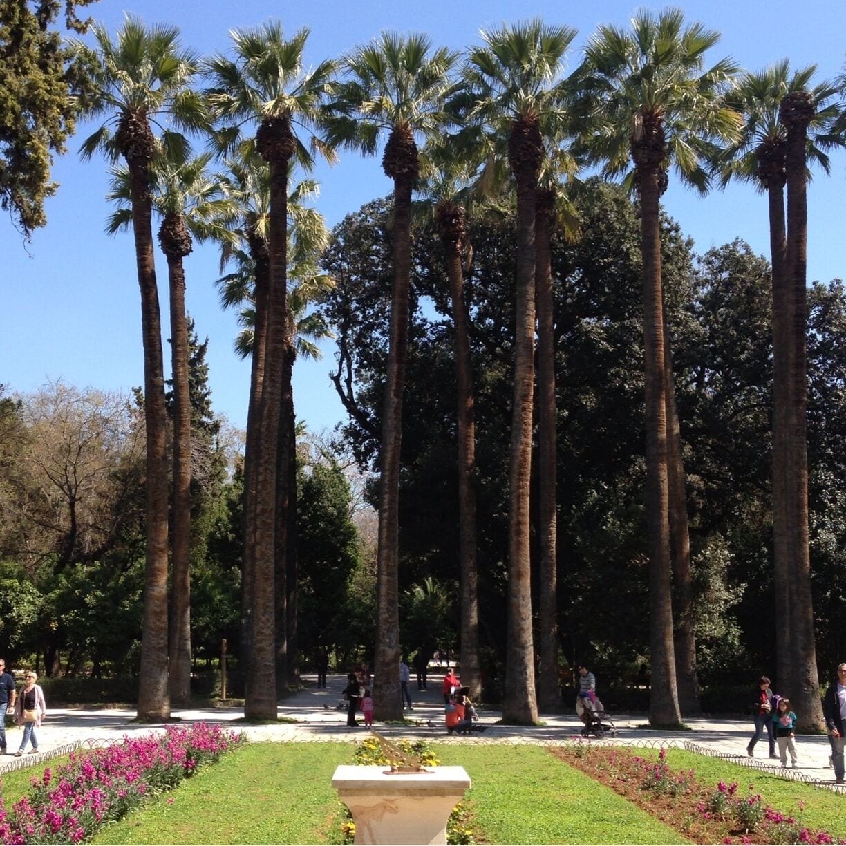 The national garden of Athens is a place to    relax and enjoy sounds of nature in the very heart of Athens