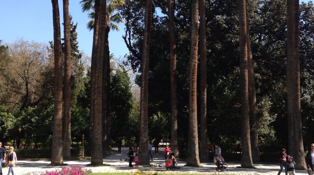 The national garden of Athens is a place to relax and enjoy sounds of nature in the very heart of Athens