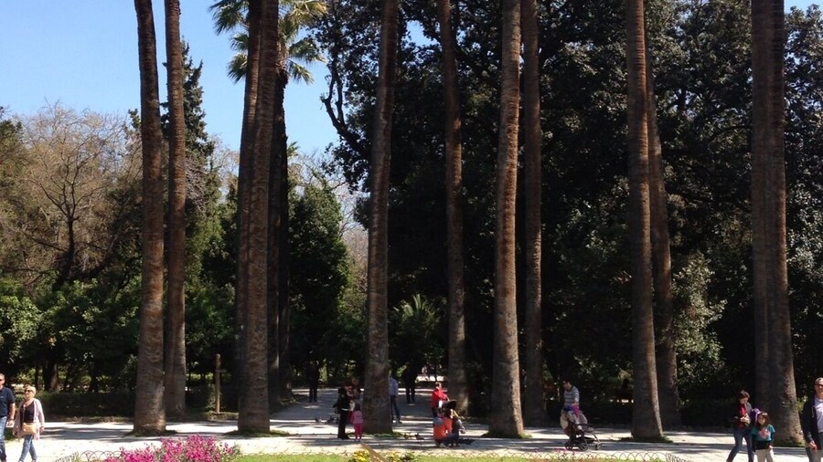 The national garden of Athens is a place to relax and enjoy sounds of nature in the very heart of Athens