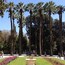 The national garden of Athens is a place to relax and enjoy sounds of nature in the very heart of Athens