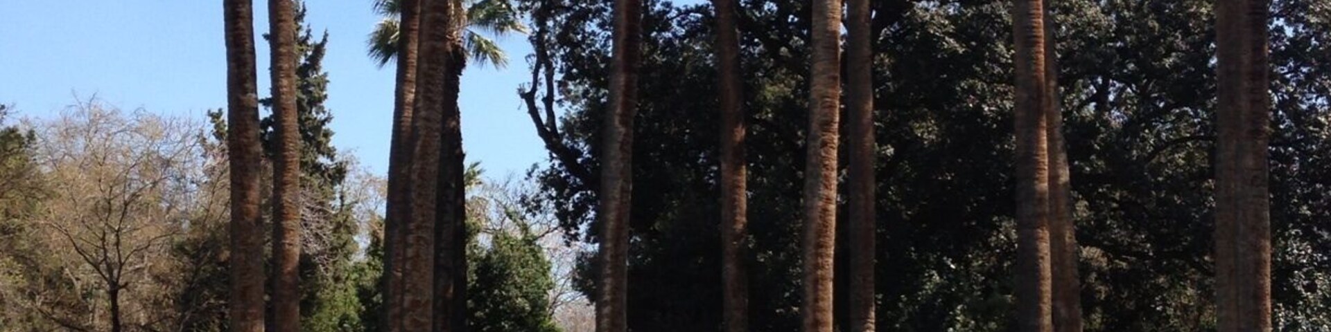 The national garden of Athens is a place to relax and enjoy sounds of nature in the very heart of Athens