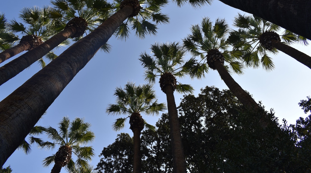 Athens National Garden