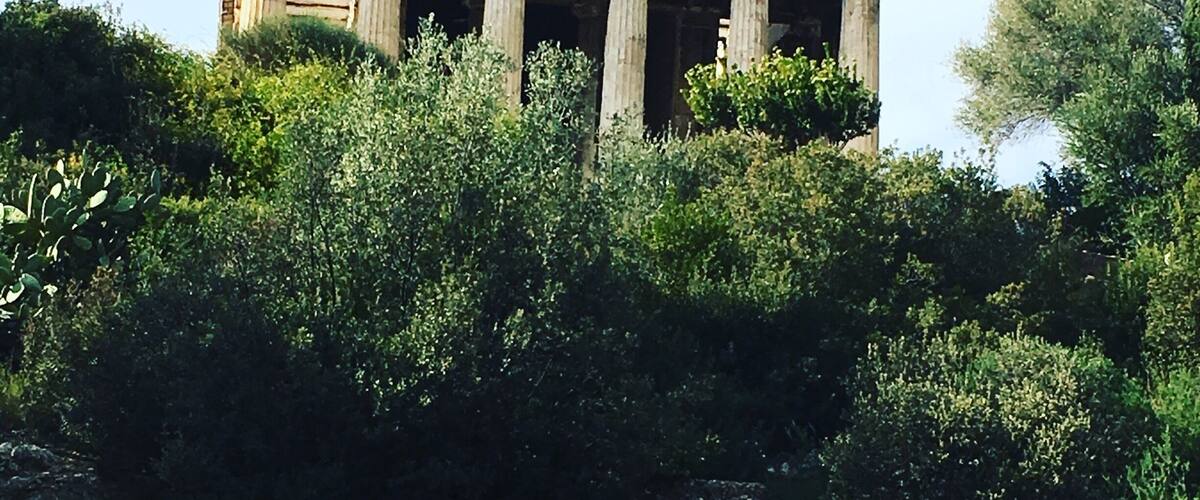 While in Athens I grabbed a map from the awesome hostel I was staying at and hit as many sights as possible. They all left me speechless and don't take long to do if you're pressed for time! #green