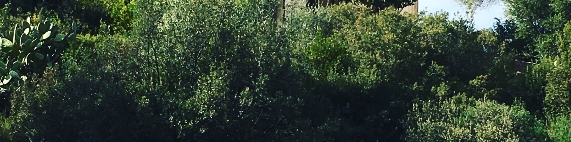 While in Athens I grabbed a map from the awesome hostel I was staying at and hit as many sights as possible. They all left me speechless and don't take long to do if you're pressed for time! #green