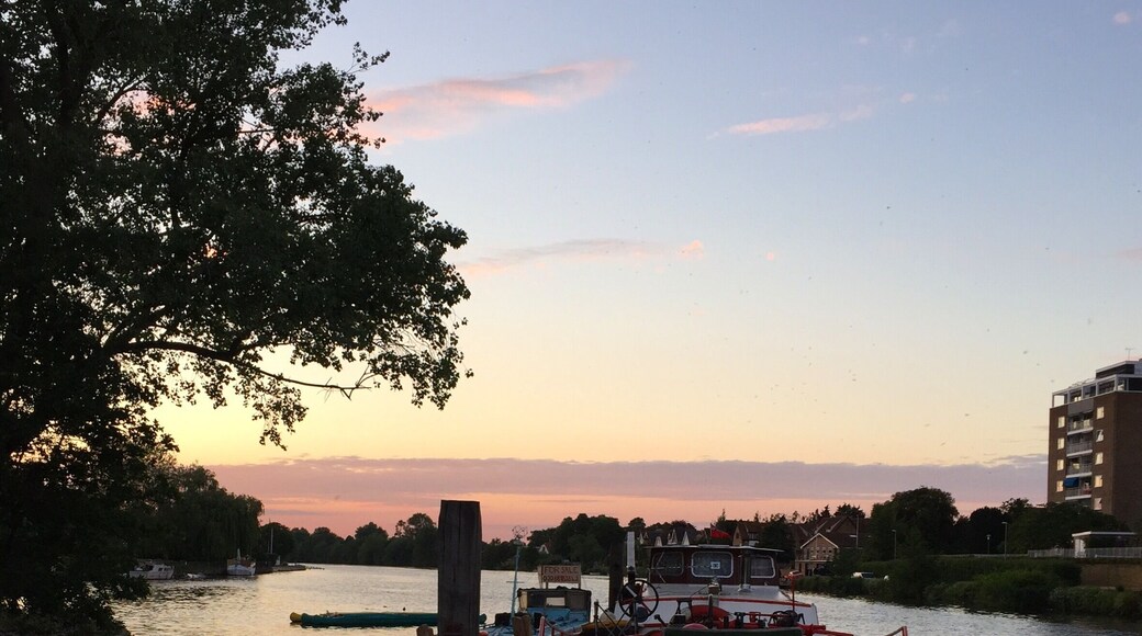 When River Thames runs though Kingston... This is a view on the river at the end of Canbury Gardens, which is 18mins away from Kingston station. There's a rowing club next to it, so you would see people training or rowing. Water birds is everywhere. A small and chilling neighbour in the day, and pop music played in the night by teens who either partying on boat or in the gardens. For me, it's not worth going unless you're around Kingston. To access, walk south after exit Kingston station for 13mins till you reach the river, then go north along the river for the river view.