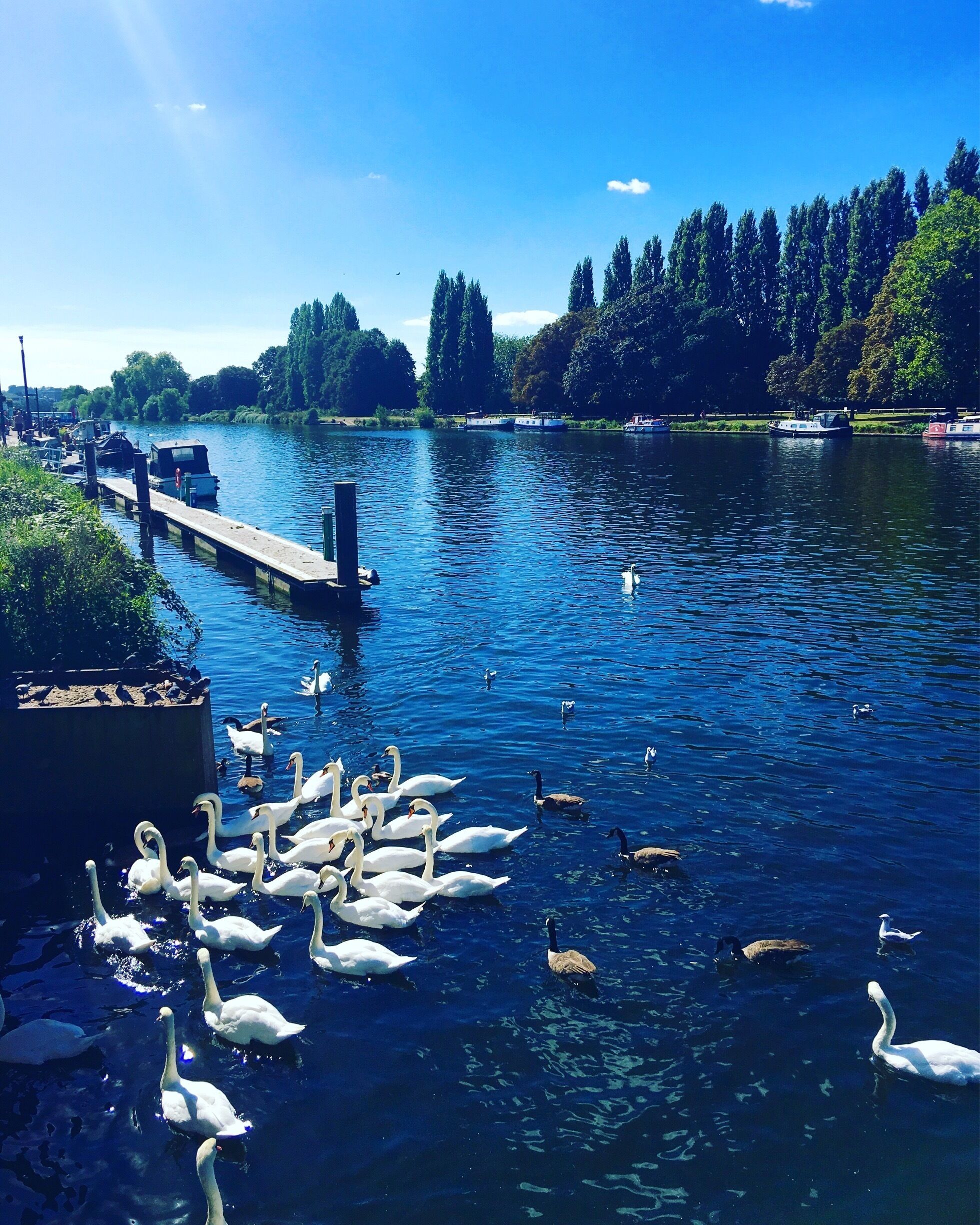Beautiful view in Zone 6 #exploreLondon #Green