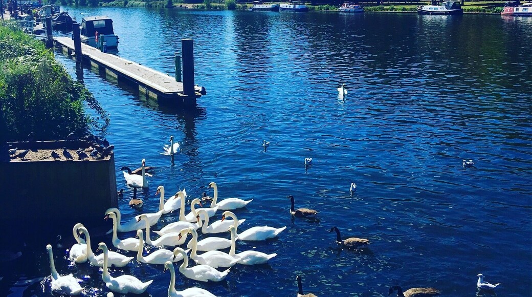 Beautiful view in Zone 6 #exploreLondon #Green