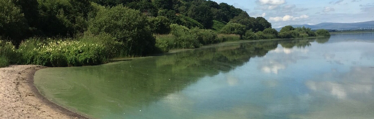 Taken whilst cycling round Loch Leven 🏞