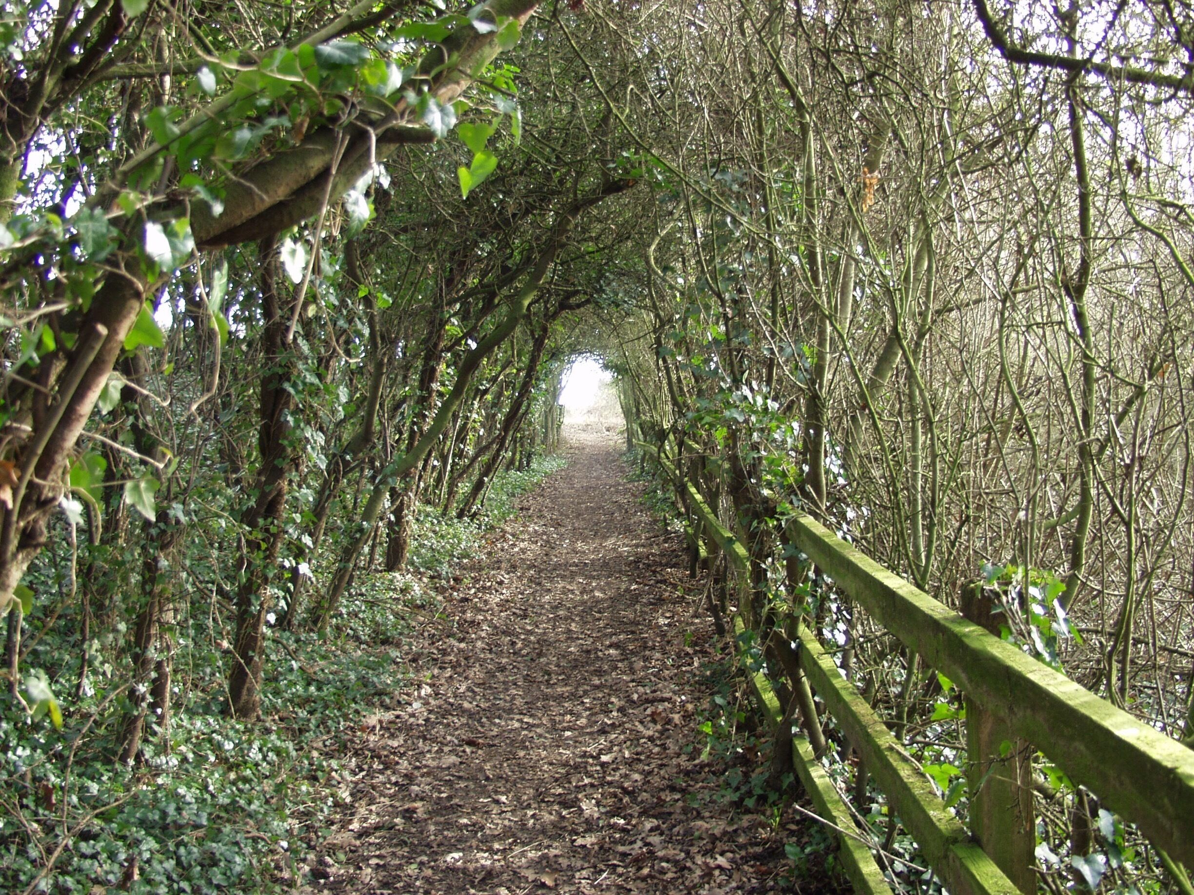 Just off disused railway line