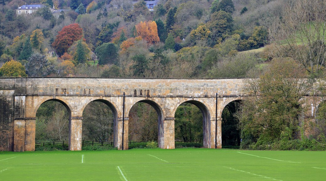 A stone viaduct with multiple arches over a green field.