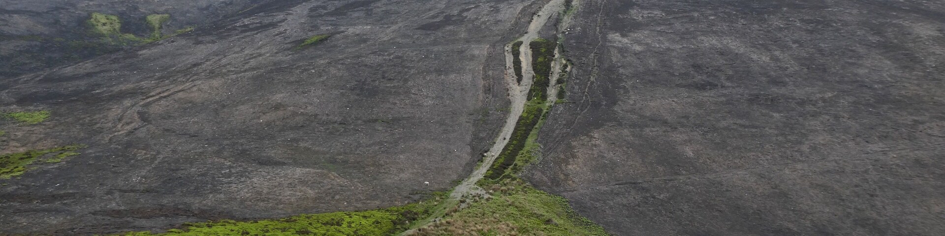 Shocking to see the landscape on Moel Y Gamelin after the fires last year. Unbelievably there were sheep roaming trying to nibble the new shoots appearing through the ash 🏴🐾🏔🥾🏴