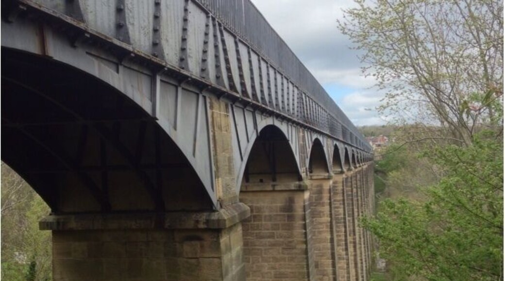 The aqueduct's construction, which began in 1795, was revolutionary at the time. Telford, rejecting all precedents, designed a cast-iron trough 3.25 metres wide and 307 metres long, laid along the top of 18 stone piers to carry the waterway high above the river.For the adventurous, it is possible to hire a canal boat both at Chirk Marina or at Trefor Basin and cross the aqueduct by boat. Alternatively there are canal boat trips available for those who want to sit and take it all in.