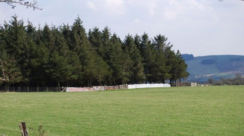 Sheep handling pens Tucked in against the trees the race does have the required open horizon. (This allows the sheep to see and encourages them to move forward).