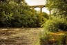 A river flowing under a stone bridge surrounded by dense greenery.