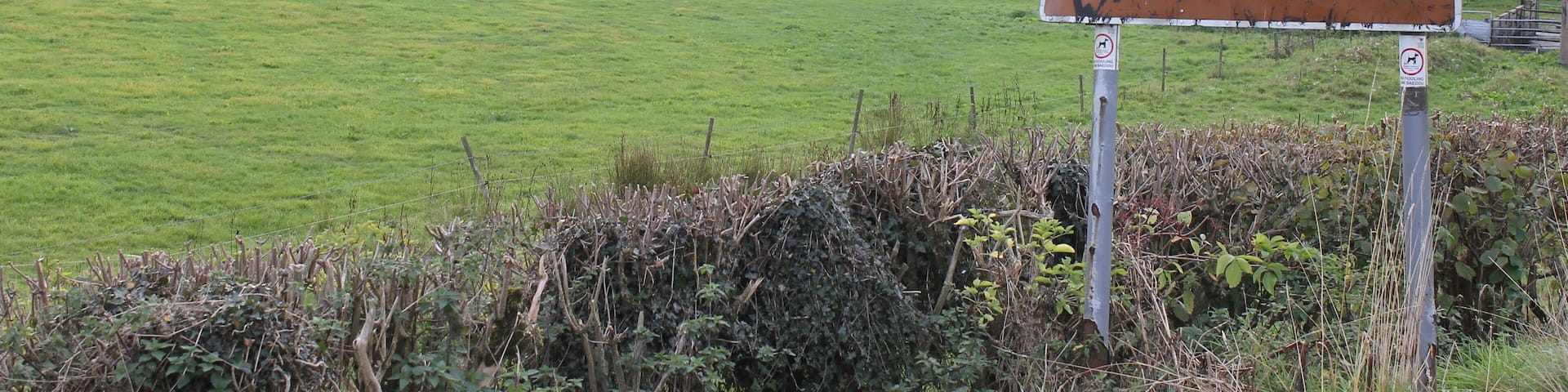 A rural landscape with a church, a sign reading "LLANARMON D.C.", and rolling green hills.