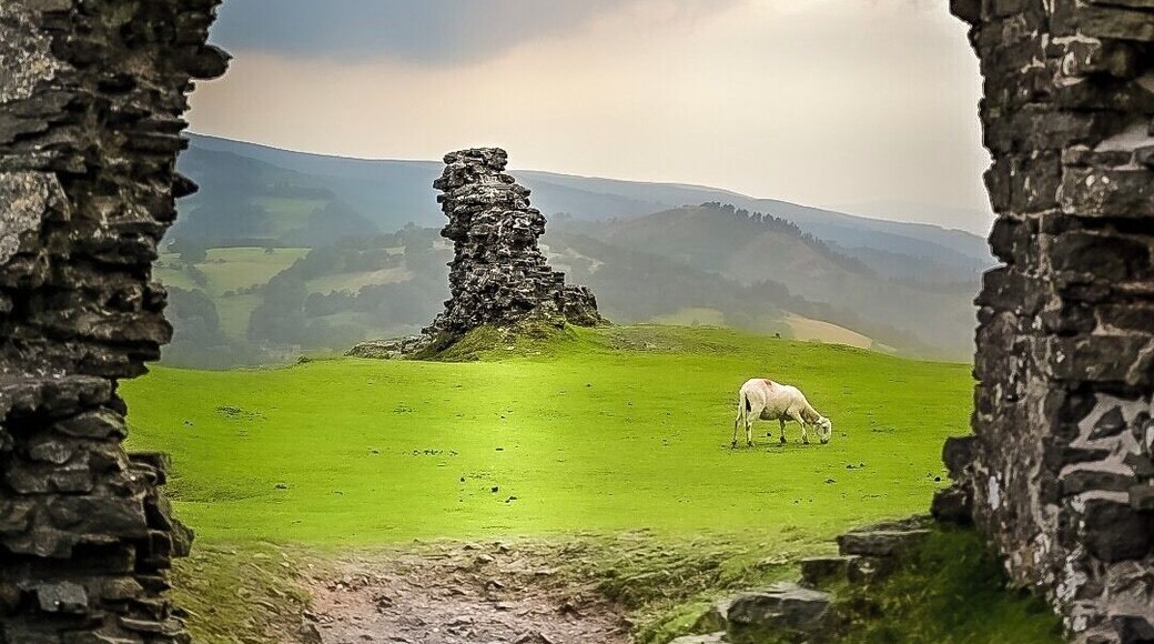 A stone archway framing a grassy field with a sheep grazing and a stone structure in the distance.