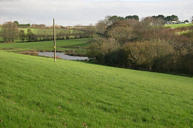 A green field with a small stream, trees, and a power line.